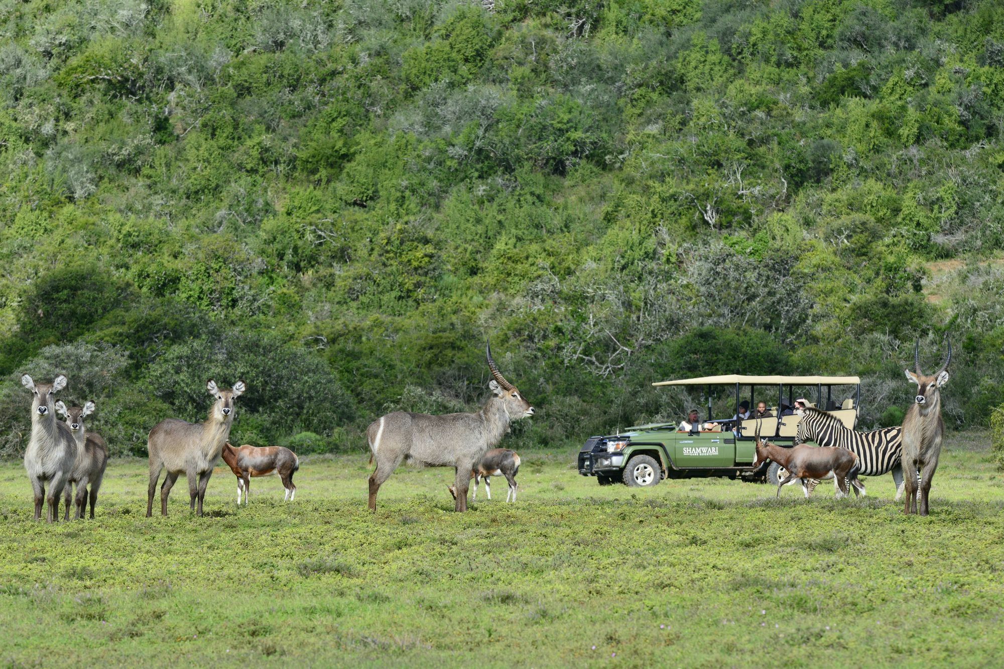 Shamwari Game Reserve Puerto Elizabeth Exterior foto